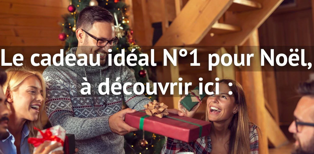 Cadeau idéal pour Noël couteaux de cuisine japonais